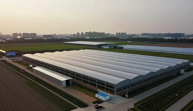规格定制在不同场景下的应用与发展趋势分析